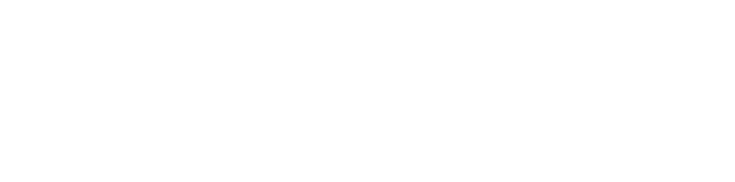 BRAVON